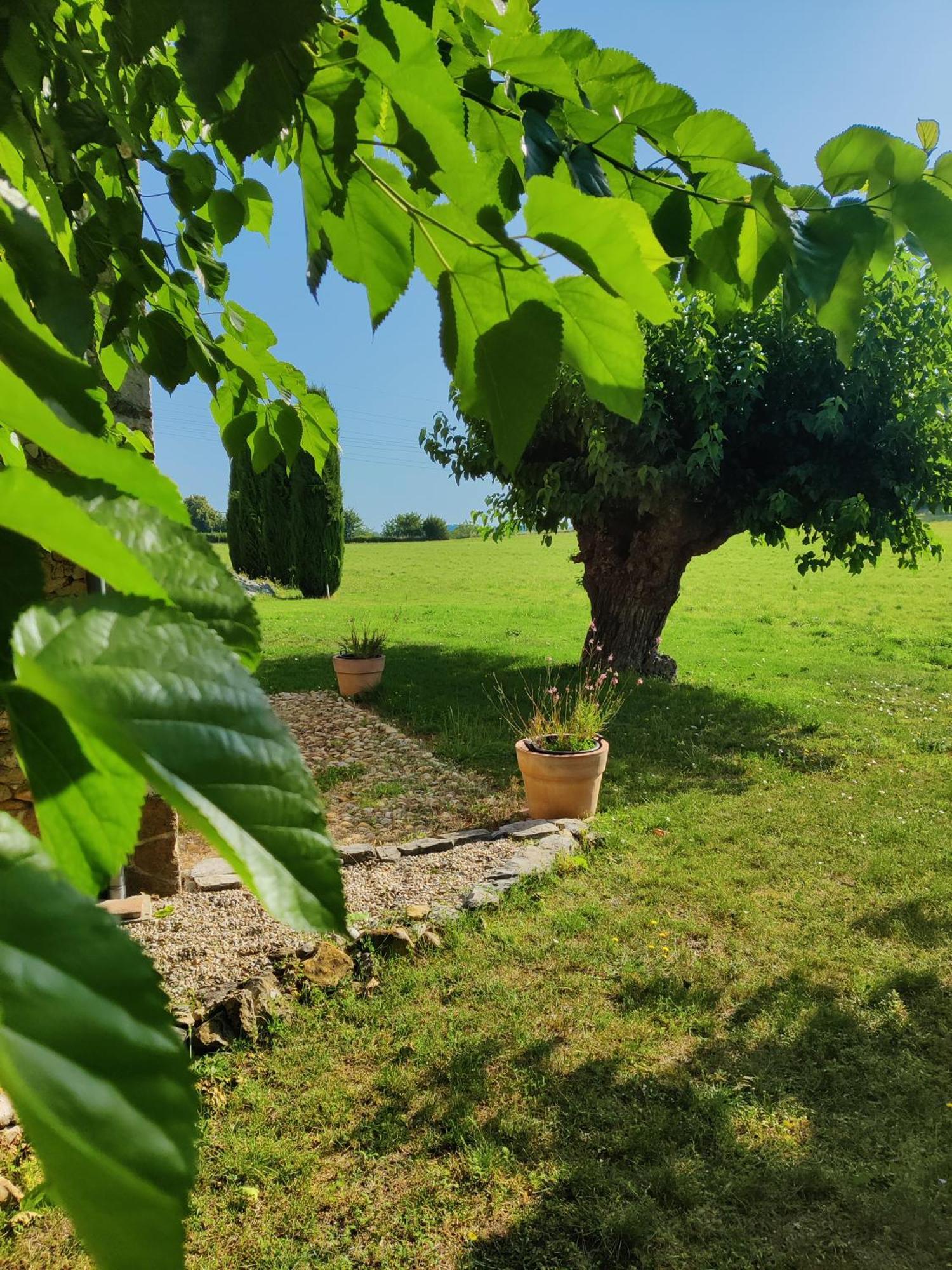 L'Etoffe, Charmante Chambre Dans Un Mas Cevenol Boisset-et-Gaujac Exterior foto