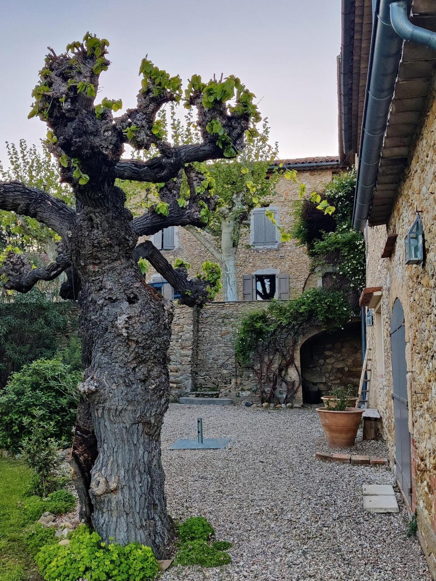 L'Etoffe, Charmante Chambre Dans Un Mas Cevenol Boisset-et-Gaujac Exterior foto