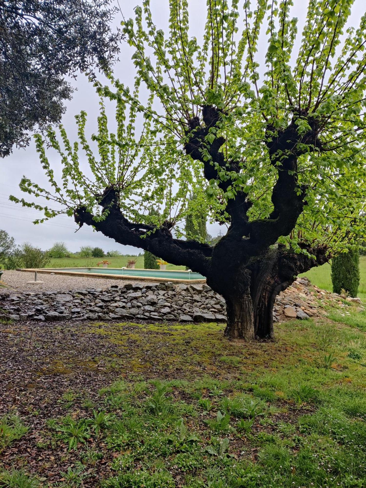 L'Etoffe, Charmante Chambre Dans Un Mas Cevenol Boisset-et-Gaujac Exterior foto